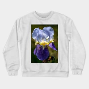 Iris Crewneck Sweatshirt